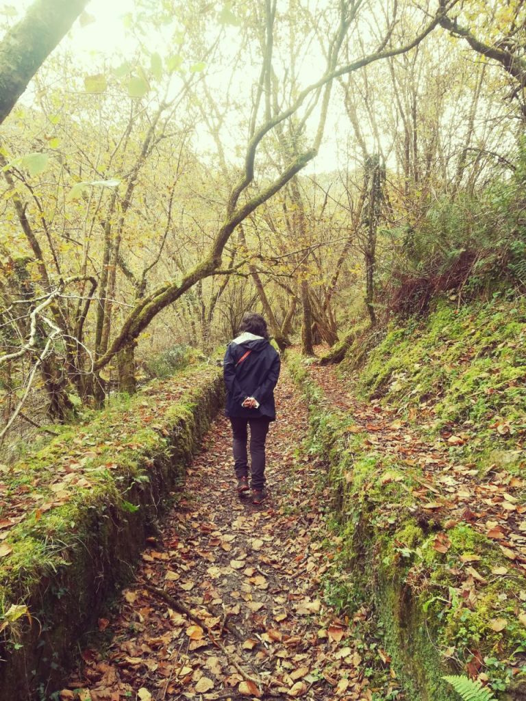 Caminando por el bosque